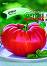 Семена от Едър червен домат - От серията "Български сортове семена: Зеленчуци" - 