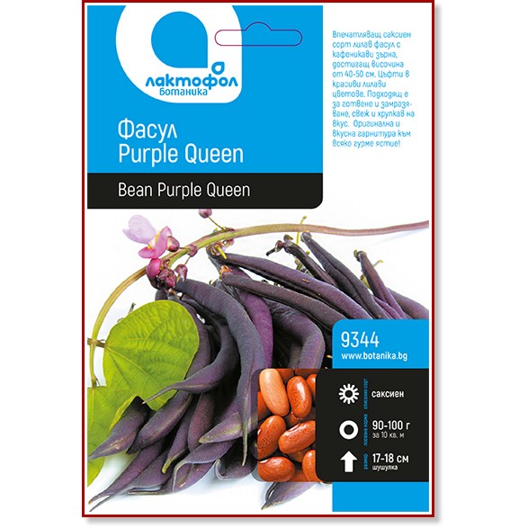 Семена от Фасул - Purple Queen - От серията Ботаника - 