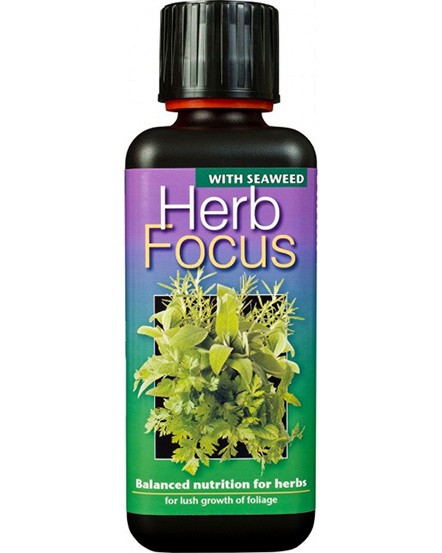     - Herb focus - 100 ml - 