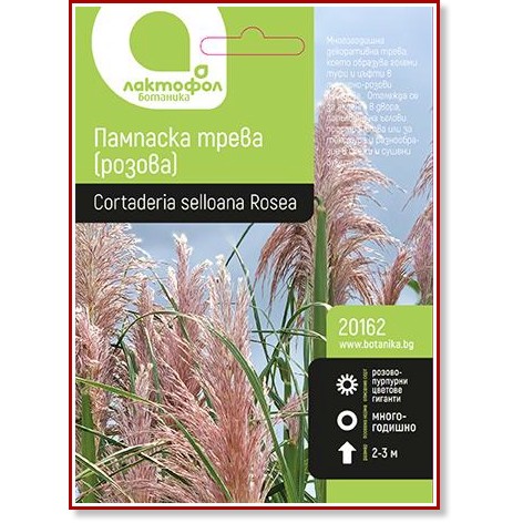 Семена от Розова Кортадерия - 1 g от серията Ботаника - 