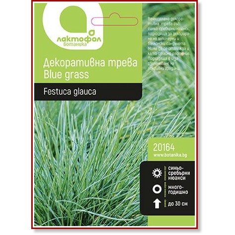 Семена от Декоративна трева Лактофол - Blue grass - 1 g от серията Ботаника - 