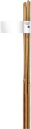 Бамбукови колове за домати Nortene Bamboo - 6 броя с дължина 60 cm - 